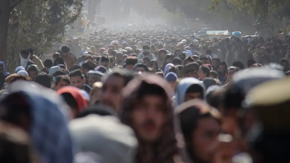 1765901895618543jk7nbvtsom-apn99161