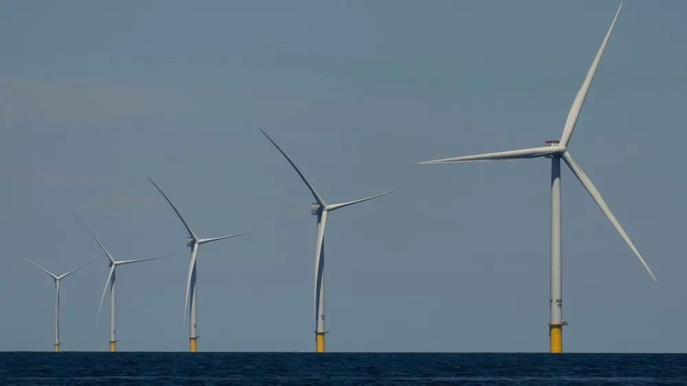 1766089101286197v3gtfn6mqx-apn489781