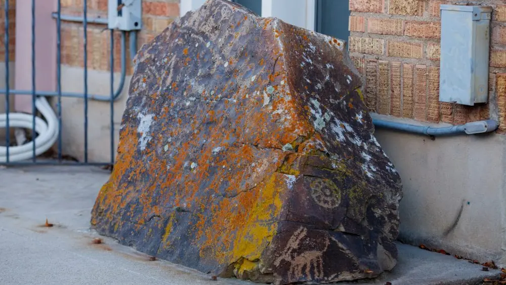 1766121491358208zr1g8d4v1e-apn402058