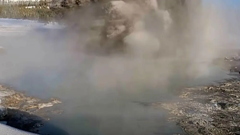 1766330294764995hmztl6cqpq-apn543583