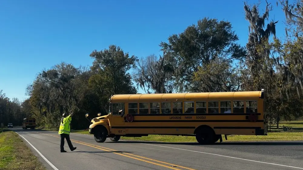 1766380698748775zbs13bzbf0-apn625310