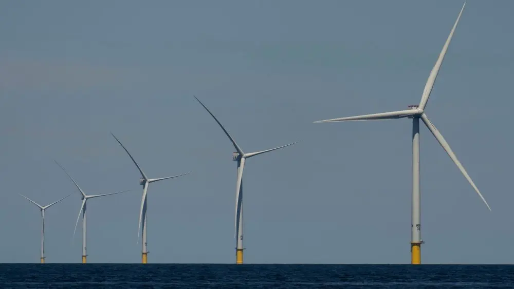 1766420293410047u18mpft9d4-apn318817