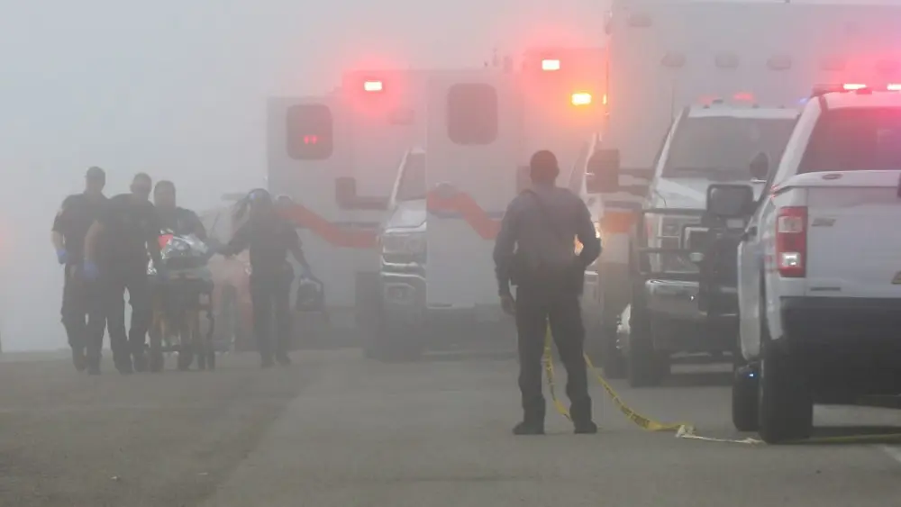 1766449092480685arzmsiuiav-apn404199