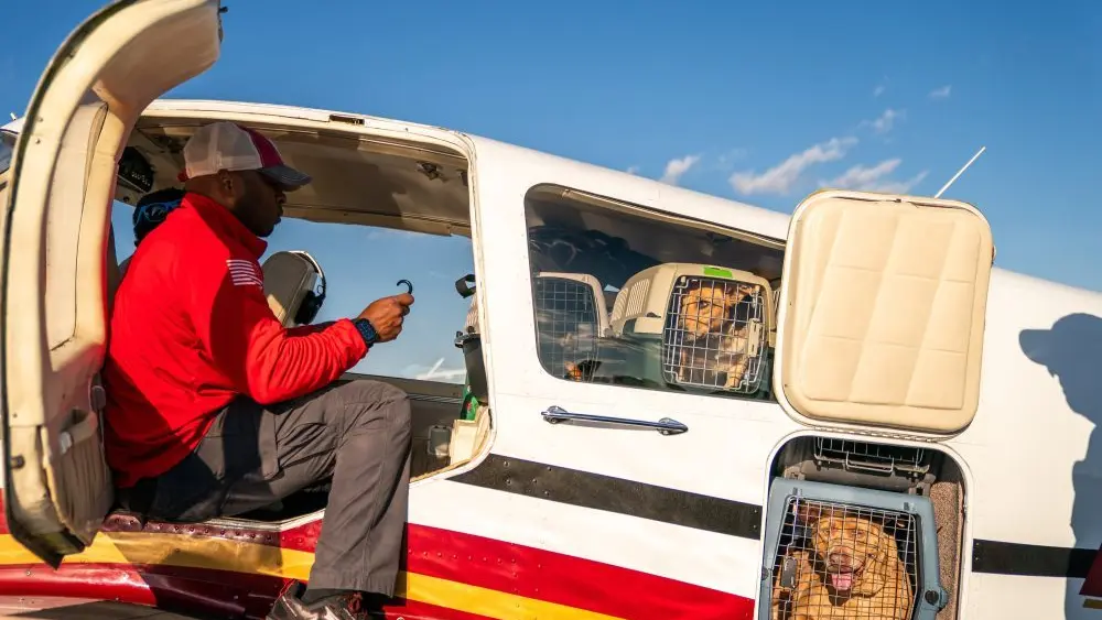 176648869452927ygm3abqn5u-apn121532