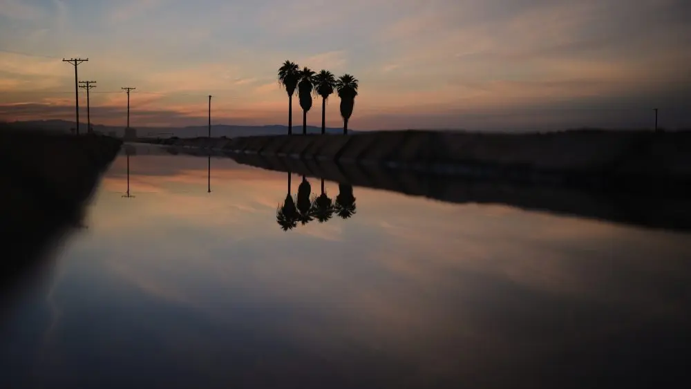 1766557089506493li7tu35vl6-apn240632