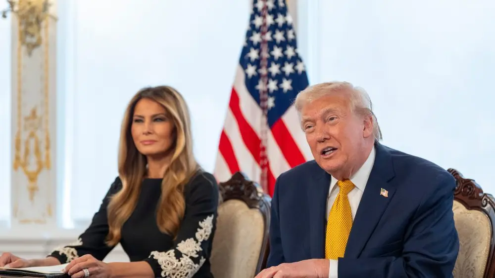 176662189389845579laidewtz-apn979209