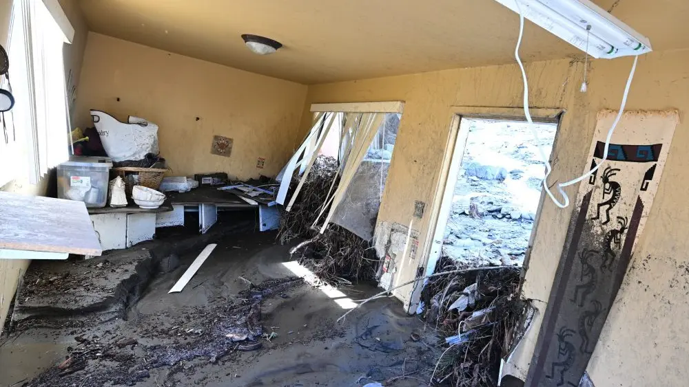 1766765893395429jmuugacyyq-apn330796