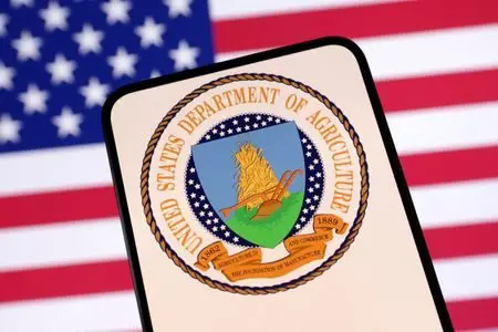 1767715537111408udnmddbovk21473