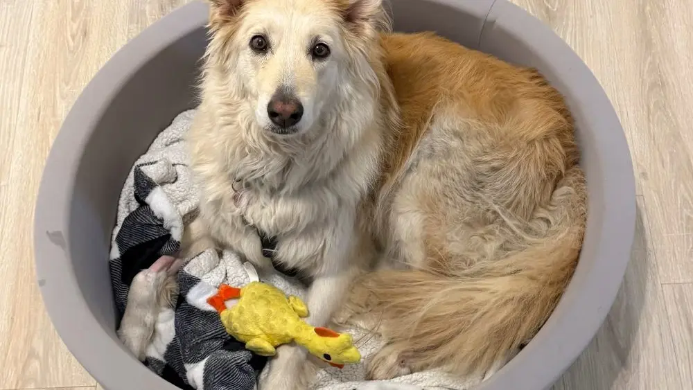 17678171014294236v3upd8yb8-apn720053