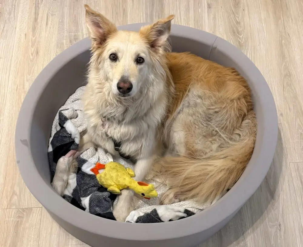 17678171014294236v3upd8yb8-apn720053