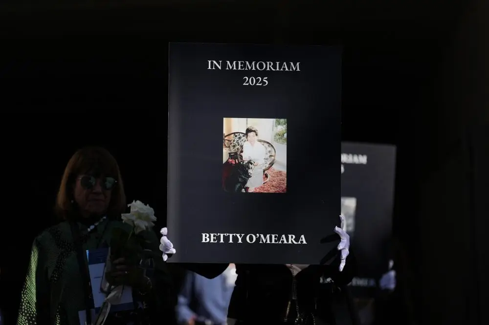 1767849494900418g3h5vewfj3-apn159676