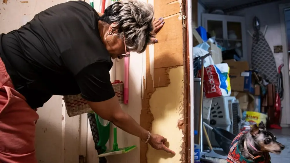 1767968296915212eezcoddqvp-apn863412