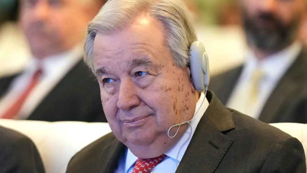 1768508295475059zocayh01lp-apn688157