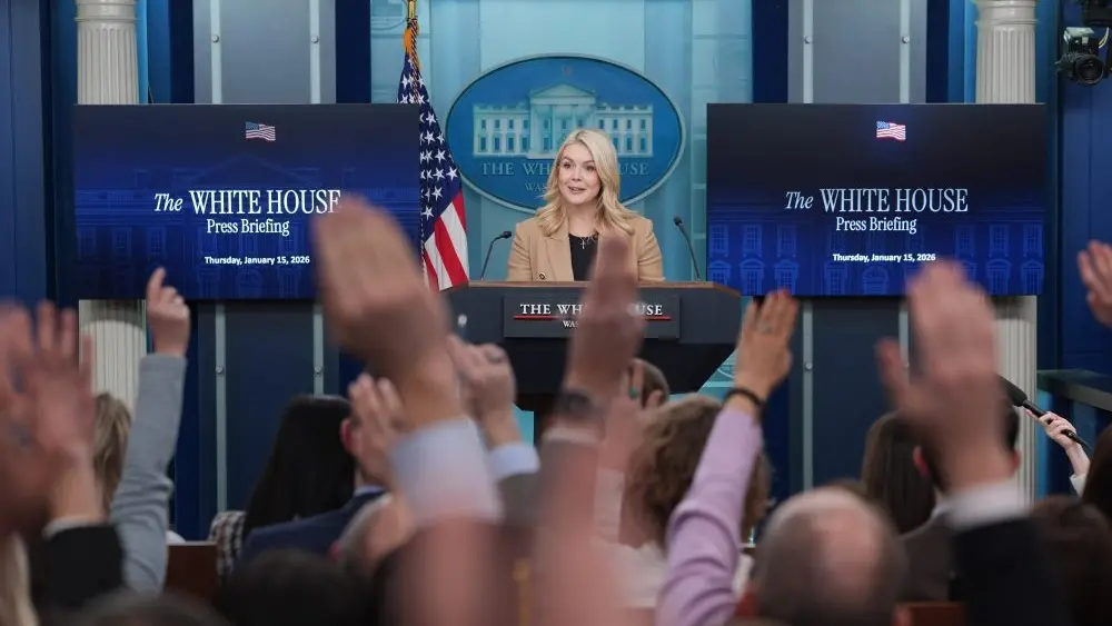 1768515495613326yq9ffanlmy-apn737794