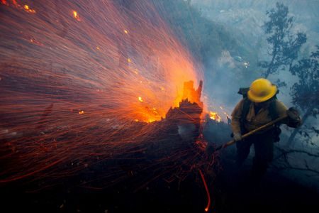 17686191202180904e1swxtaqn656504