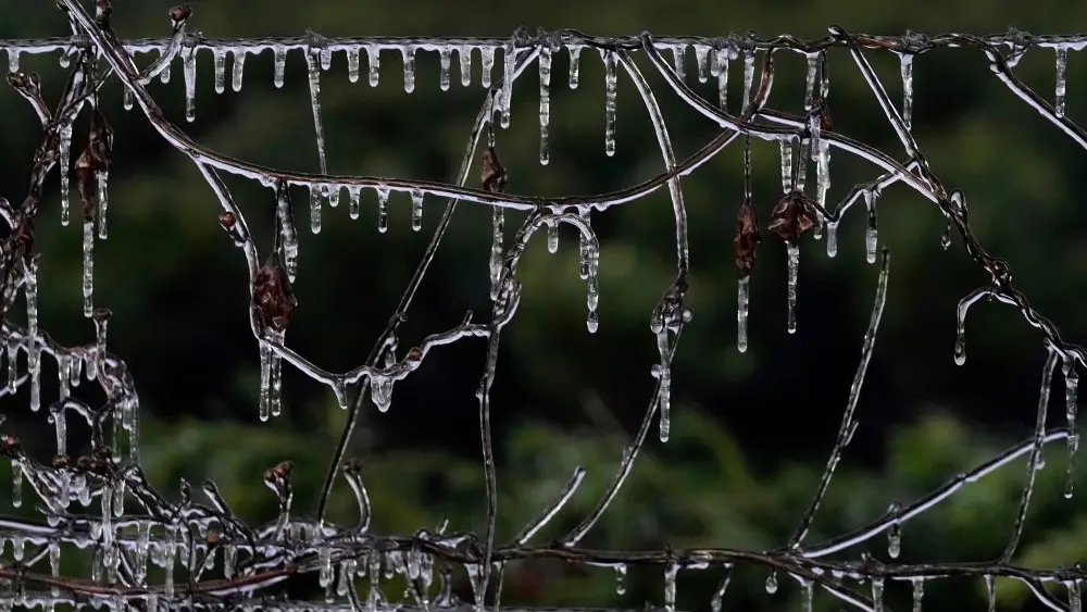 1768677504244954ew92rjogzc-apn91106