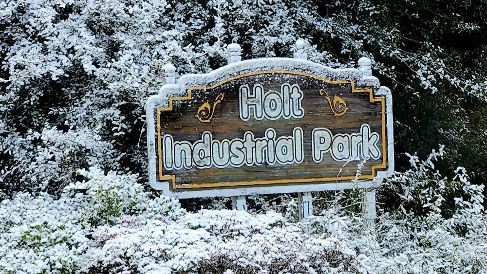 1768760293133310jk4nymhcsl-apn696754