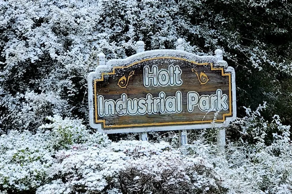 1768760293133310jk4nymhcsl-apn696754