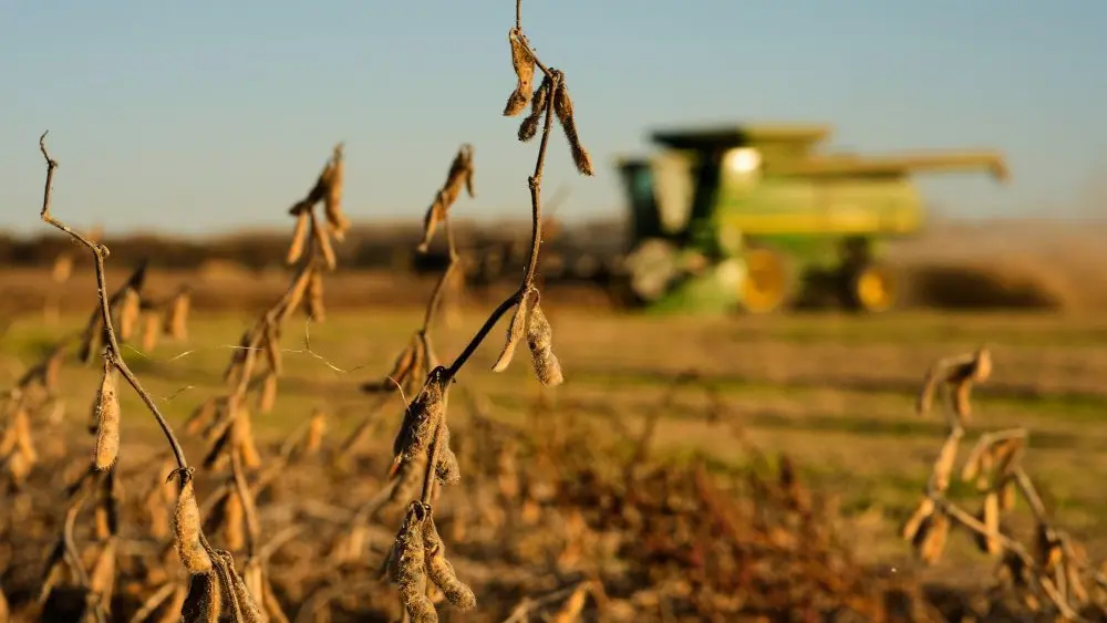 17689403011763677zbnhbljgy-apn394569