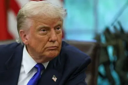 17691051255479786mdtpoceim515309