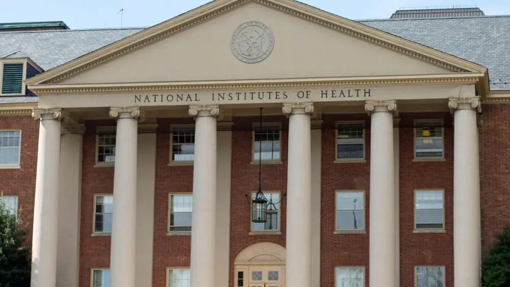 1769113138675345zyi2qwjbc2-apn69779