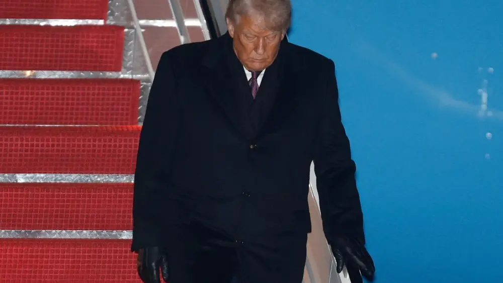 1769177895243882zu95bximm1-apn261476