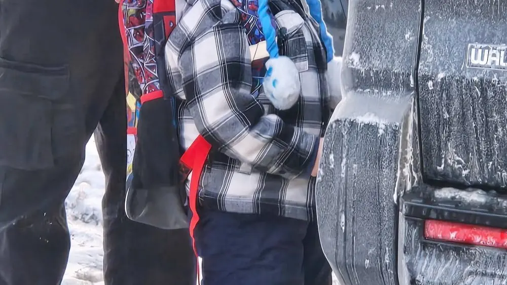 1769221093581938tsswydsowa-apn756636