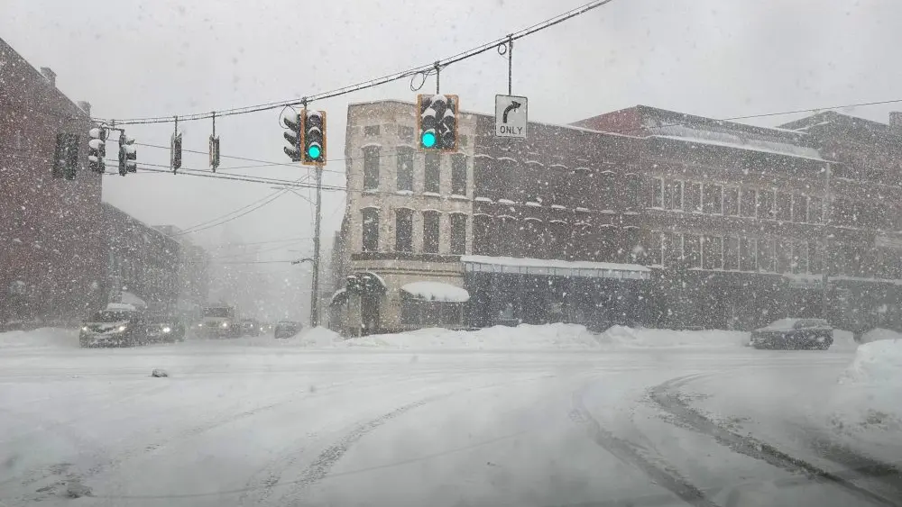 17692426975920353crs1zw2ln-apn974456