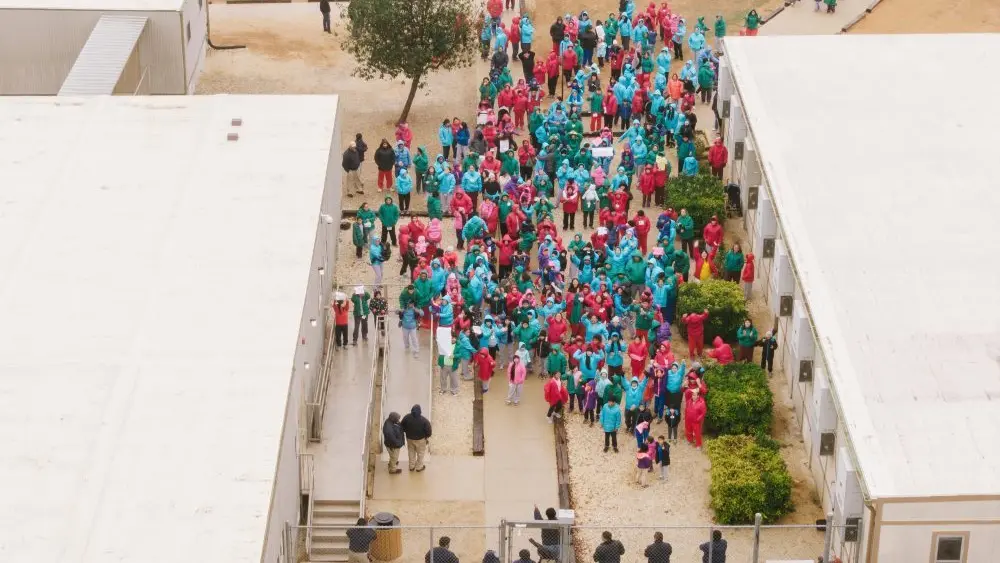 1769303895525342qcolqzevmp-apn445321