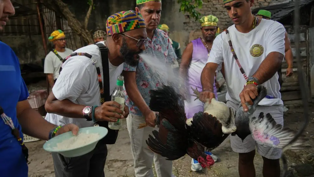 17693902953934635mszydiwh4-apn216039