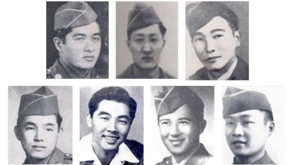 17694262952530448puksjndcy-apn12010