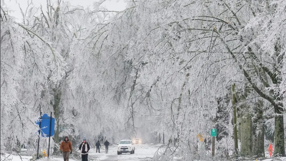 17694586957321859kehitoq4y-apn323276