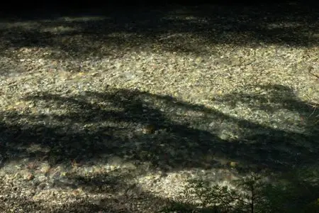 1769529938625746iq42axu9gr143640