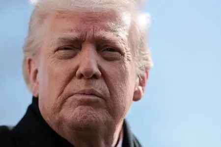 17695515149745623elzc5cdee389493