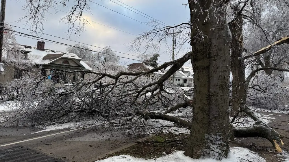 1769617097497699u2ylgal3cu-apn934784