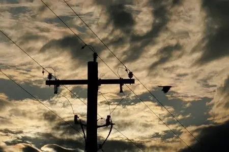 1769623542981869b5blszuun0232502