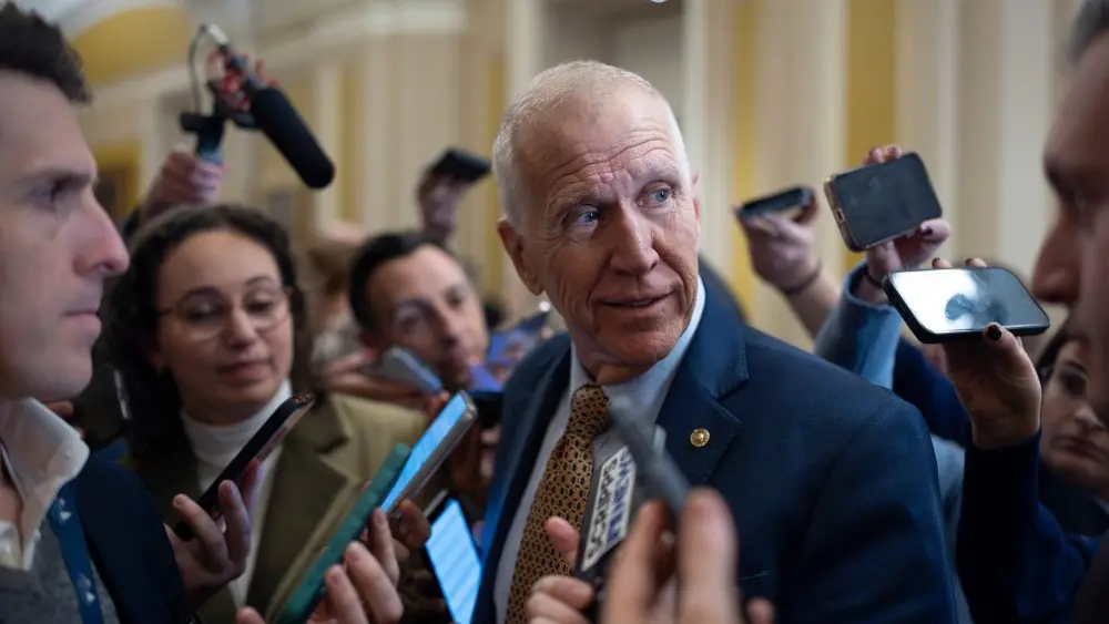 1769653095561541b0dwihcxcr-apn733187