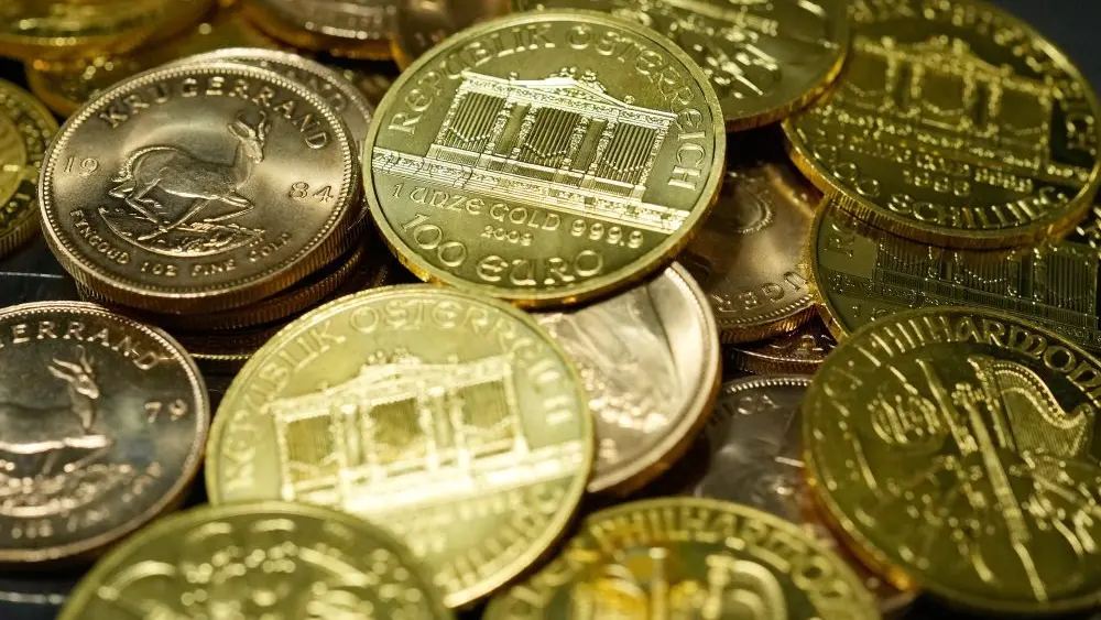 1769800691986610fpmvctfbnc-apn621450