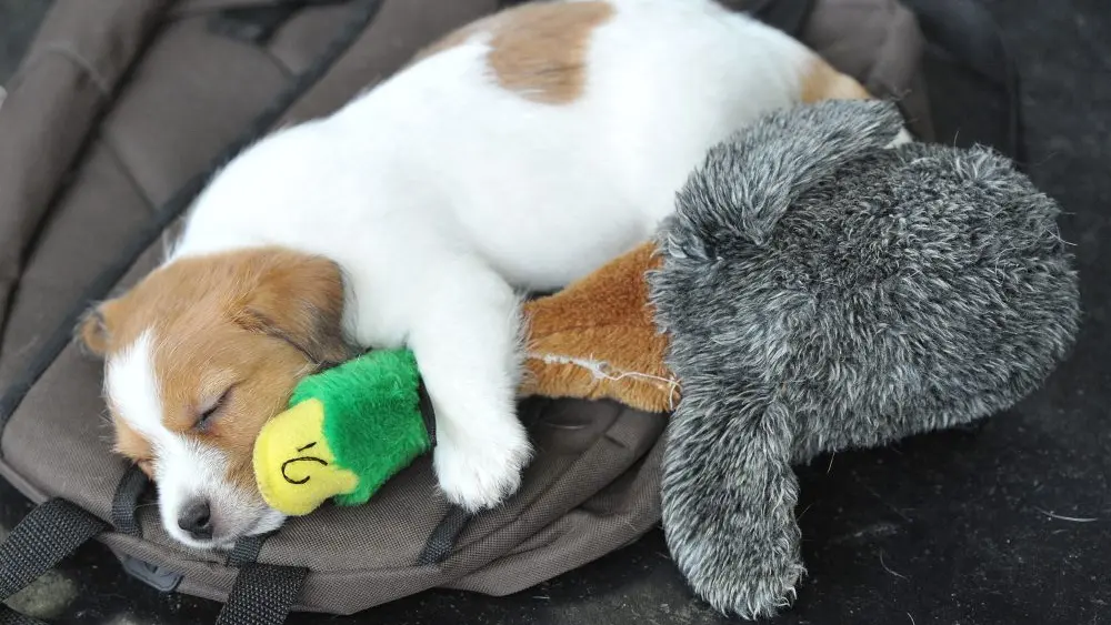 1769843895321968ybats033vi-apn765046