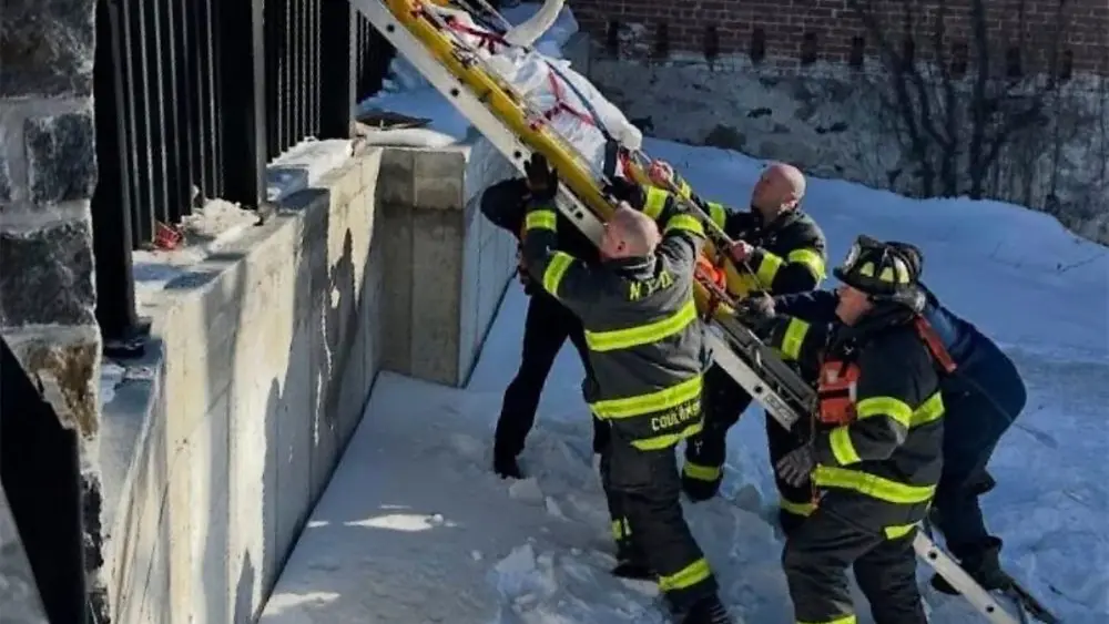 1770232693533108qftmyrsthd-apn85765