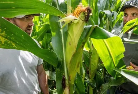 1770325522874799btcrmdczcz221179