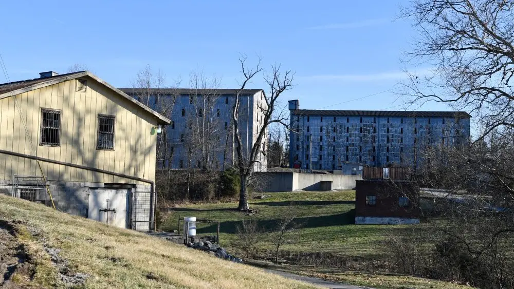 1770405499554703znm7ayt4pb-apn908747