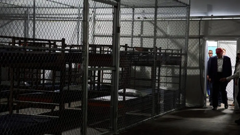 1770661099509196vv5pt713mp-apn404658