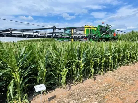 177072513469264v8tbor6yyh294491