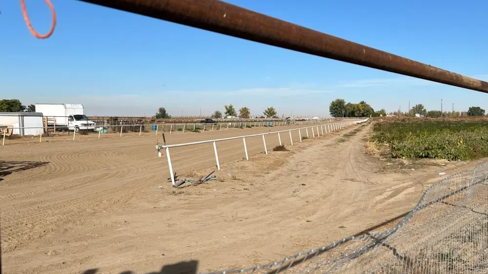 1770761889791255aq5bdorkdk-apn933248