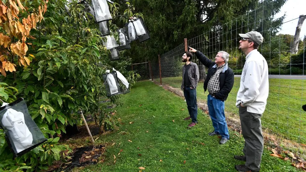 1770923897332613qwfhanhpvs-apn606272