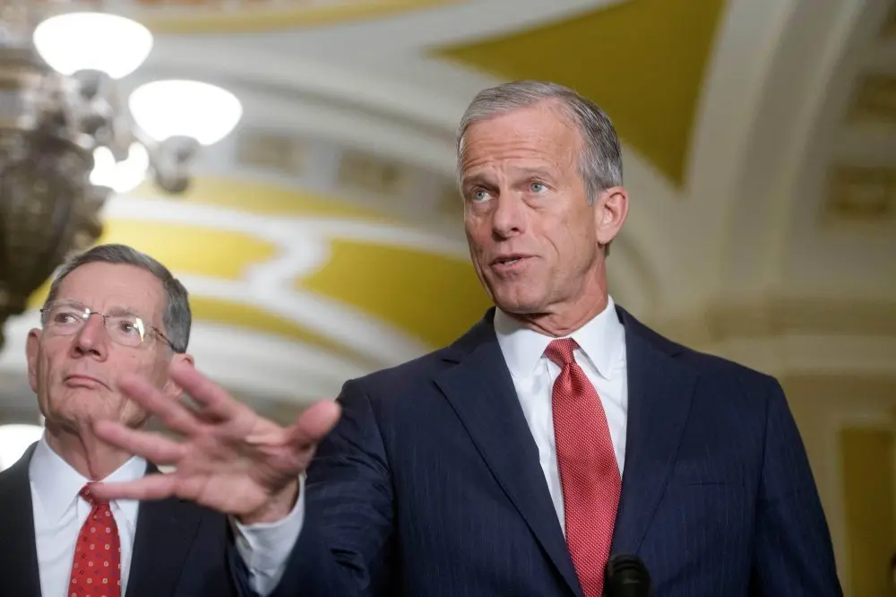 1770927497402001z78v65dok5-apn814377