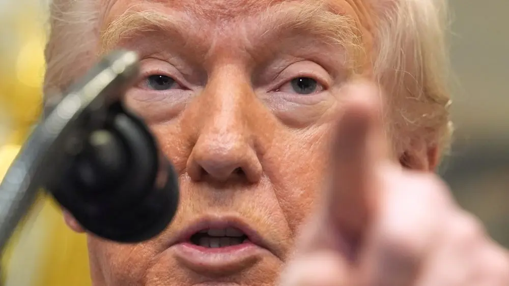 1770959910146261kpnesxsdip-apn356385