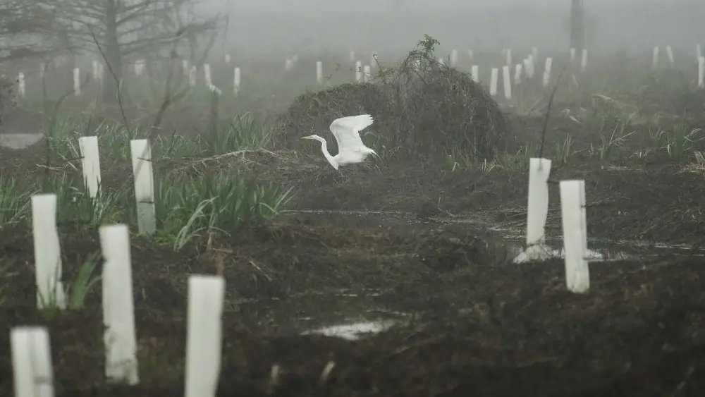 1770967097311454rdut0pb2ae-apn677048