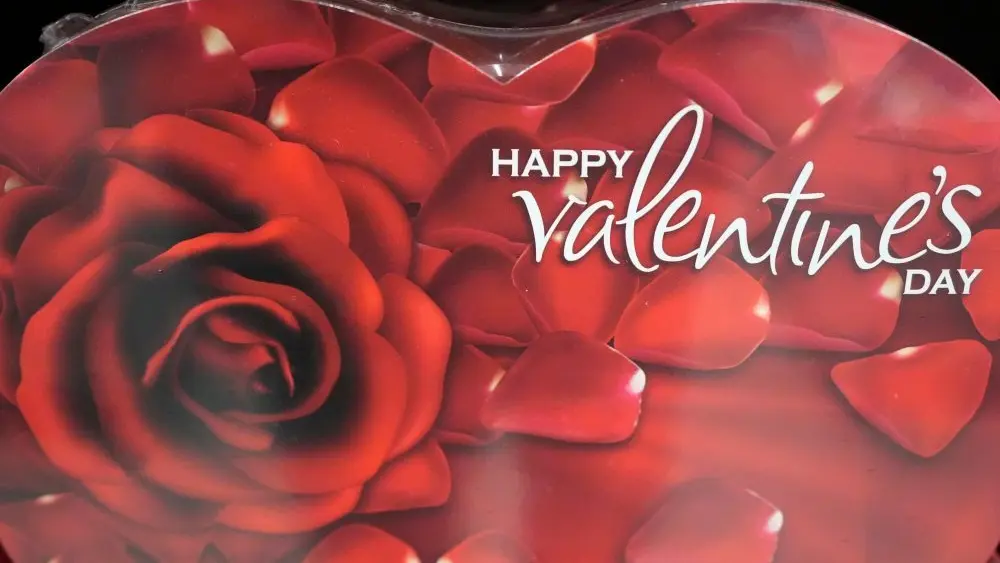 1770995895204560qzn7qv3d8b-apn215932